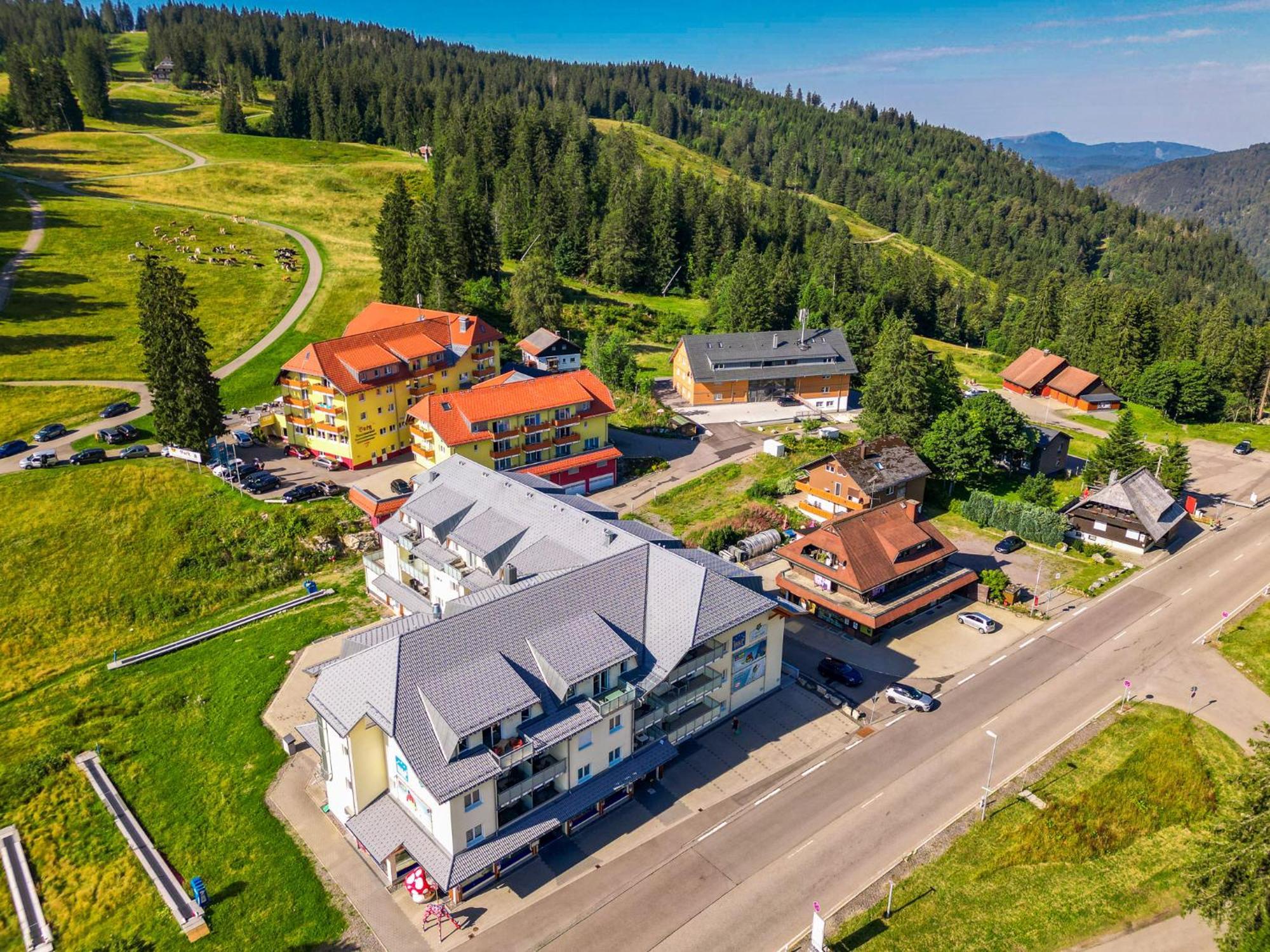 Feldberg Domizil - Residenz Grafenmatt Lejlighed Rinken Eksteriør billede