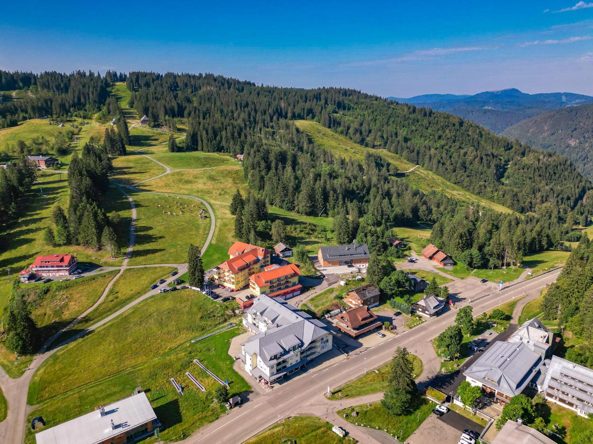 Feldberg Domizil - Residenz Grafenmatt Lejlighed Rinken Eksteriør billede